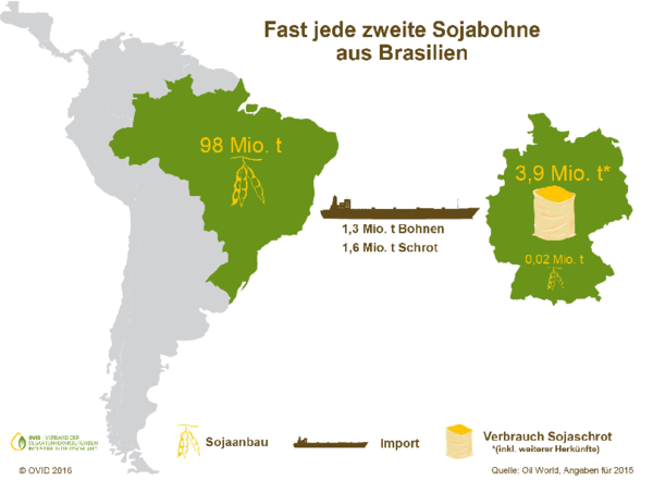 Soja aus Südamerika