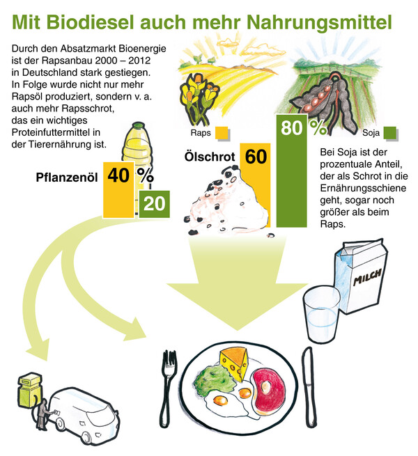 Biodiesel, Nahrung, Trog und Tank